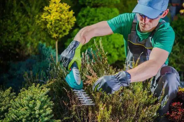 landscaping services Seneca Gardens